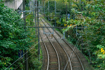 秋の東京　緑の中の線路