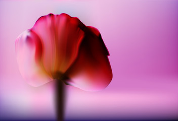 Precious red flower Tulip on a blurred gold background romantic Valentine's day. Romantic abstract background.