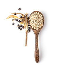 jobs tears in wood spoon isolated on white background. top view