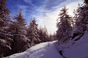 Fototapeta na wymiar Sunny day in the alps after the snowfall