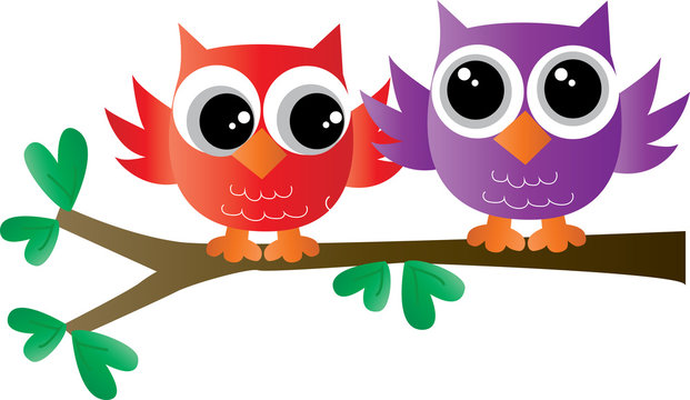 two colorful owls sitting on a branch