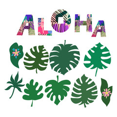 Aloha1