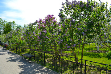 DIVEEVO, RUSSIA - September 6, 2018: Holy Trinity-Saint Seraphim-Diveyevo Monastery in Nizhny Novgorod region