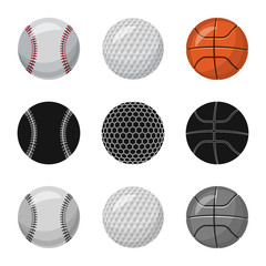 Isolated object of sport and ball logo. Set of sport and athletic vector icon for stock.