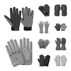 Vector illustration of glove and winter symbol. Collection of glove and equipment stock symbol for web.