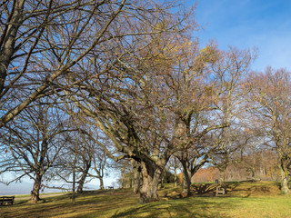 Lörrach. Tüllinger Höhe. Lindenplatz. Ausblick auf das Dreiländereck