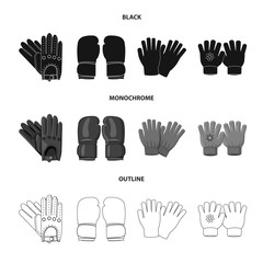 Vector illustration of glove and winter icon. Set of glove and equipment stock symbol for web.