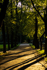 Sand path on a green park in Saint Petersburg