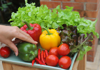 Closeup of woman's hand catching organic fresh vegetables in ceramic plate on wooden table.