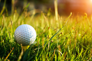 Golf ball on tee in beautiful golf course at sunset background.