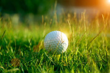 golf ball on green grass in beautiful golf course with sunset. Golf ball close up in golf coures at Thailand