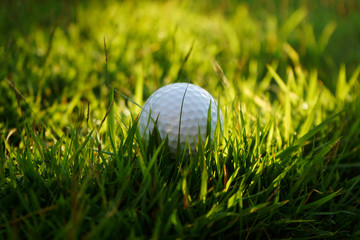golf ball on green grass in beautiful golf course with sunset. Golf ball close up in golf coures at Thailand