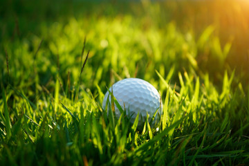 golf ball on green grass in beautiful golf course with sunset. Golf ball close up in golf coures at Thailand