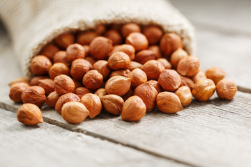 Chiselled hazelnuts in a bag of burlap on a gray wooden table. Organic Fresh Harvested