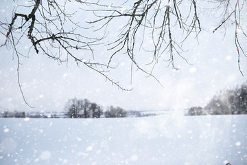 Winter landscape of country fields and roads