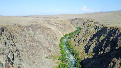 A blue river runs along the canyon. On the banks of the river grows green grass and trees. Boiling river in the canyon. Around the desert. View of the road. Steep edges of the canyon.