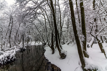 Vrelo Bosne, Sarajevo, Bosnia and Herzegovina
