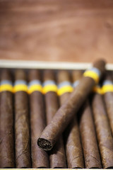 large wooden box of cigars handmade Cuban