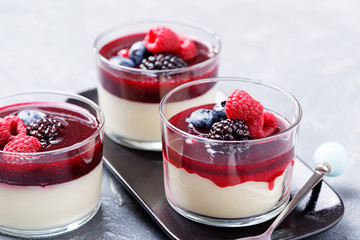 Delicious italian dessert panna cotta with berry sauce, fresh berries and mint on gray background. - Image