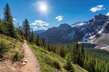 Amazing view of sunny touristic trail in the Rocky Mountains. The trail in mountains near Moraine lake in Canadian Rockies, Banff National Park, Canada. - obrazy, fototapety, plakaty