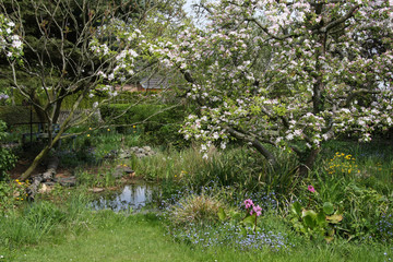 Fr&uuml;hling im Naturgarten