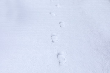 Fußspuren im Schnee