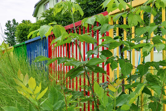 Multicolored fence in a public place
