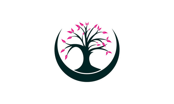 Symbol Tree Plant Inovation Logo