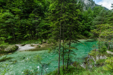 Obraz premium fluss im naturschutzgebiet