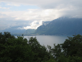 fotos de paisajes varios arboles naturaleza 