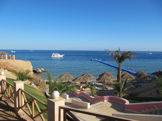 Naklejka premium View from the balcony of the hotel to the beautiful area with palm trees and the Bay with a boat.