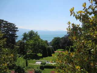 fotos de paisajes varios arboles naturaleza 