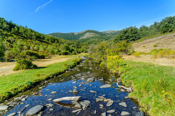 Paisaje natural entre montañas atravesado por un río con piedras y rodeado de vegetación 