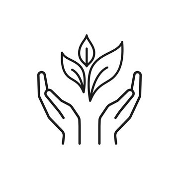 Isolated black outline icon of plant in hands on white background. Line icon of leaf and hands. Symbol of care, protection, charity.