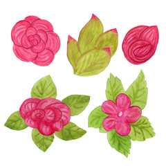 Set of watercolor flowers and leaves