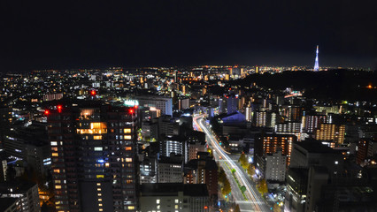 Night view of Sendai cityscape, Japan