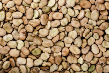 dry beans as background