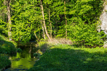 Obraz premium Ojcowski National Park, Poland