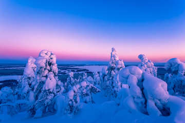 Heavy snow landscape with pastel colors sky.  Photo from Sotkamo, Finland.