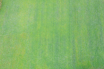 Top view of farmland