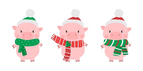 Cute pigs in santa hat. Symbol of Chinese New Year 2019. Vector illustration.
