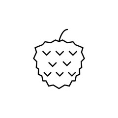 mulberry outline icon. Element of fruits icon. Thin line icon for website design and development, app development. Premium icon