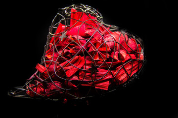 metal heart inside of rose petals