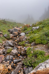 stony narrow deposit of colorful stones in valley near meadow