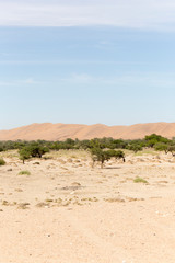 Fototapeta na wymiar Namib desert view