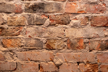 texture background red brick wall