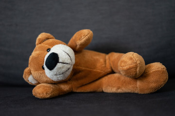 Teddybär sitzt auf einer Couch und schaut