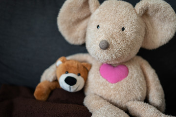 Teddybär auf der Couch