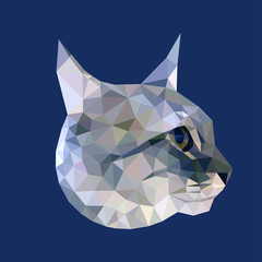Head of gray cat with blue eyes low polygon isolated on blue background, geometric animal face, pet crystal illustration, modern triangular kitten icon.