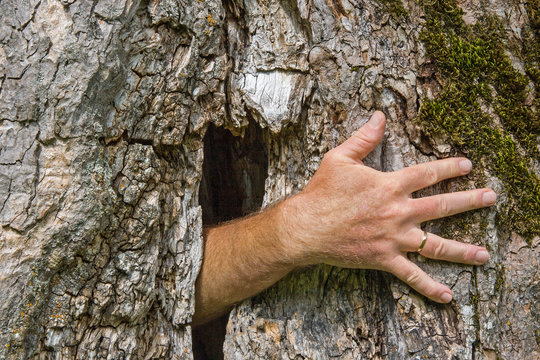 Geisterhand aus einem Baum wachsend